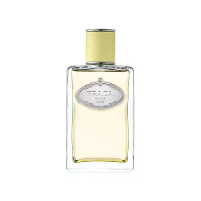 Les Infusion de Gingembre 100 ml