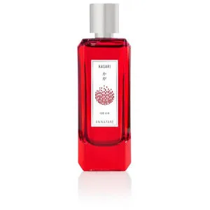 KAGARI FOR HIM eau de toilette vaporizador 100 ml