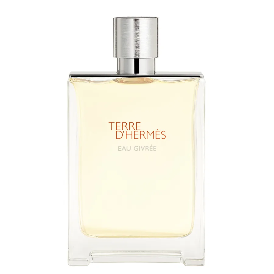 Terre d’Hermès Eau Givrée Eau de parfum 100 ml
